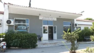 ΣΟΚ – Τραγωδία στην Εύβοια: Πέθανε ξαφνικά 21χρονη – Είχε δεχθεί τσίμπημα