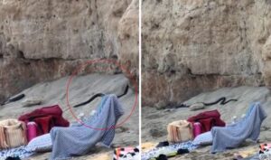 ΣΟΚ ΣΕ ΠΑΣΙΓΩΝΣΤΗ ΠΑΡΑΛΙΑ ΓΕΜΑΤΗ ΚΟΣΜΟ: ΤΕΡΑΣΤΙΑ ΜΑΥΡΑ ΦΙΔΙΑ ΕΜΦΑΝΙΣΤΗΚΑΝ ΑΠΟ ΤΟ ΠΟΥΘΕΝΑ ΚΙ… ΕΚΟΒΑΝ ΒΟΛΤΕΣ ΑΝΑΜΕΣΑ ΣΤΟΥΣ ΛΟΥΟΜΕΝΟΥΣ