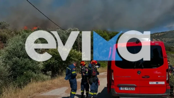 ΕΚΤΑΚΤΟ – Φωτιά: Νέο μήνυμα 112 για εκκένωση – «Απομακρυνθείτε προς Στύρα»