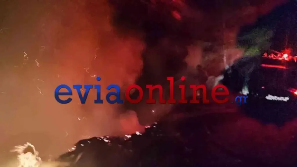 Φωτιά: Μάχη με τις φλόγες δίνουν πυροσβέστες και κάτοικοι στο Μίστρο -Οι πρώτες εικόνες