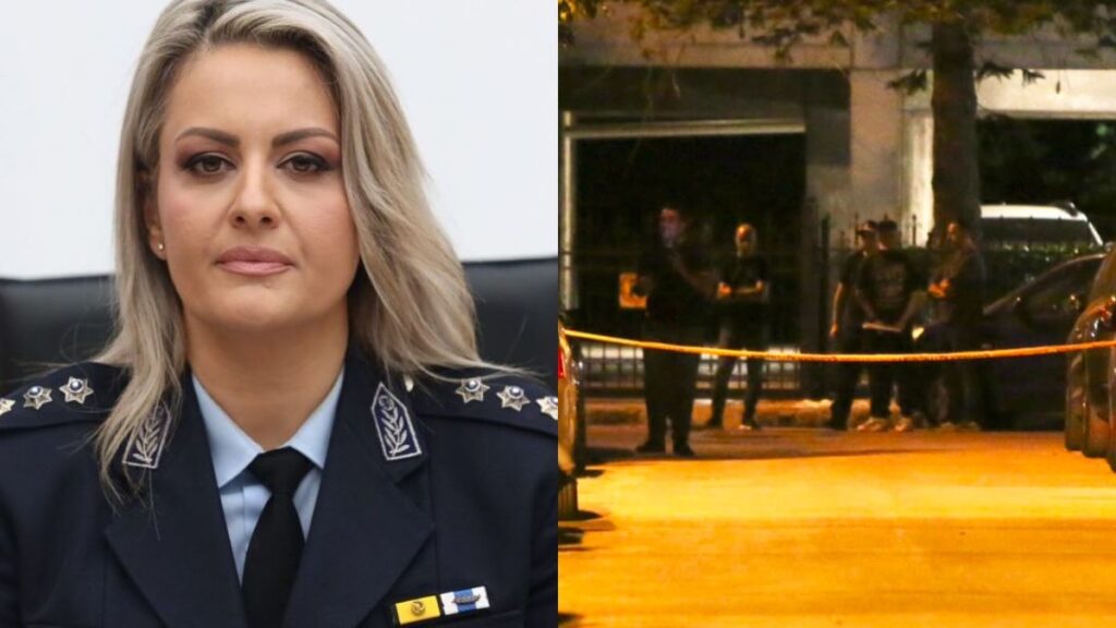 Φρίκη: Η Δημογλίδου έκανε την μεγάλη αποκάλυψη για την δολοφονία του 17χρονου στην Καλλιθέα