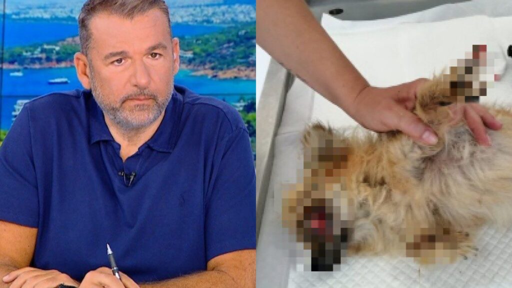 ΑΥΤΟΣ ΕΙΝΑΙ Ο ΓΝΩΣΤΟΣ ΜΟΥΣΙΚΟΣΥΝΘΕΤΗΣ ΠΟΥ ΚΑΤΗΓΟΡΕΙΤΑΙ ΓΙΑ ΚΑΚΟΠΟΙΗΣΗ ΖΩΟΥ