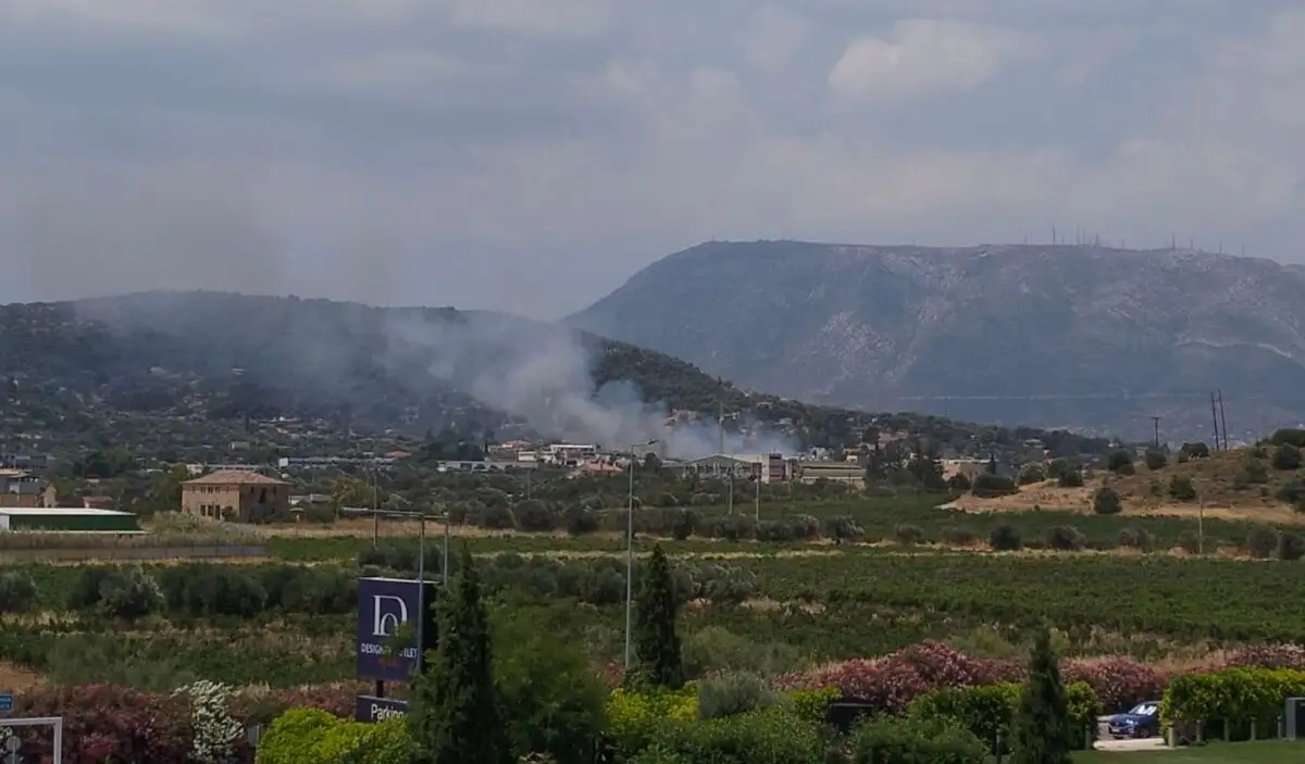 ΦΩΤΙΑ ΤΩΡΑ ΣΤΗ ΧΩΡΑ ΜΑΣ – ΣΥΝΑΓΕΡΜΟΣ ΣΤΗΝ ΠΥΡΟΣΒΕΣΤΙΚΗ