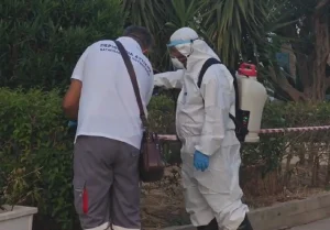 Ιός του Δυτικού Νείλου: Κόκκινος συναγερμός στην Αττική για την αύξηση των κρουσμάτων – Η λίστα με τις περιοχές και οι επιπλοκές του ιού