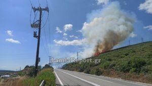 ΕΚΤΑΚΤΟ – Φωτιά στην Καμηλόβρυση: Ήχησε το 112 – «Μείνετε σε ετοιμότητα»