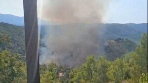 ΜΕΓΑΛΗ ΦΩΤΙΑ ΤΩΡΑ ΣΕ ΔΑΣΟΣ ΣΤΗΝ ΑΤΤΙΚΗ – ΣΥΝΑΓΕΡΜΟΣ ΣΤΗΝ ΠΥΡΟΣΒΕΣΤΙΚΗ – ΗΧΗΣΕ ΤΟ 112