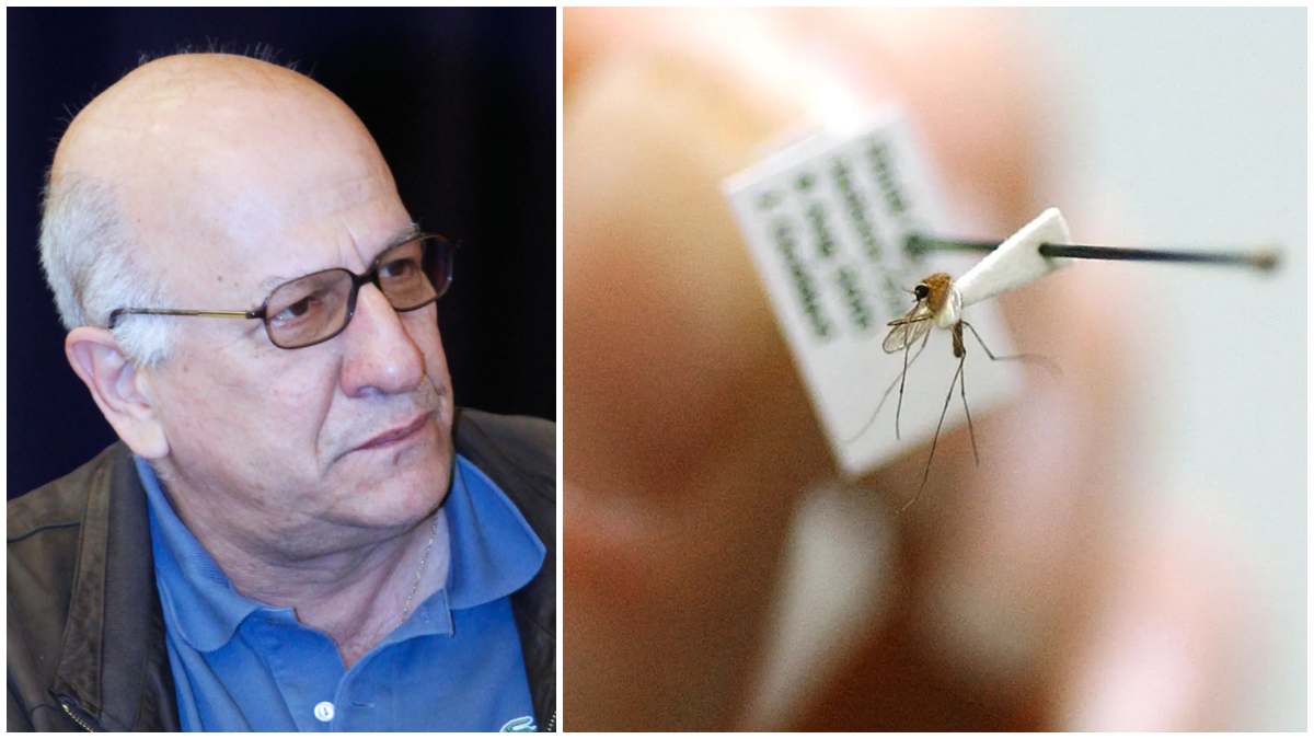 Μεγάλη μάχη στον Ευαγγελισμό με τον ιό του Δυτικού Νείλου για τον Αντώνη Πανούτσο! Αυτά είναι τα ύπουλα συμπτώματα που πρέπει να σας οδηγήσουν αμέσως στον γιατρό!