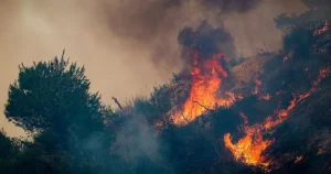 ΕΚΤΑΚΤΟ: Νέα φωτιά τώρα – Ισχυρές πυροσβεστικές δυνάμεις στο σημείο
